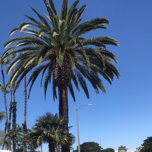 jmascorro0301